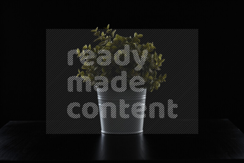 Plastic potted plant with rim light against black background