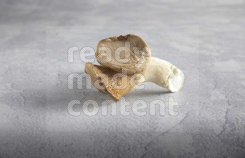 45 degre king oysters mushrooms on a textured light blue  background