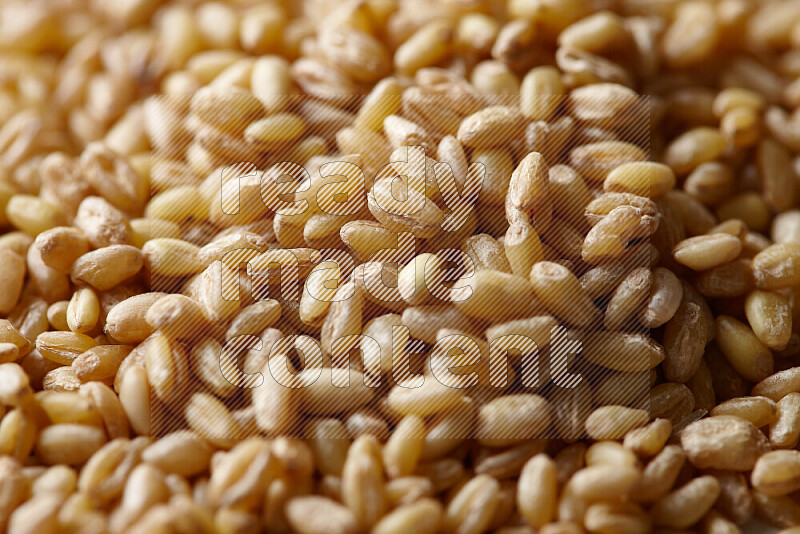 Hulled wheat on white background