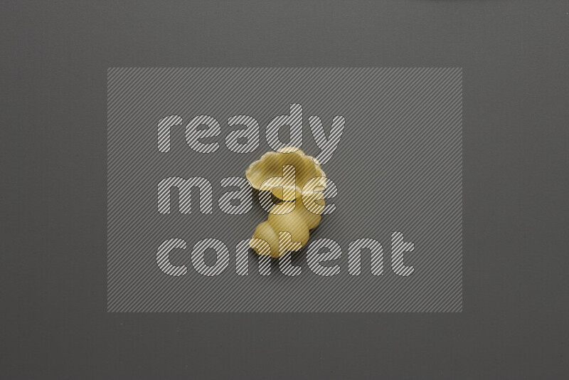Snails pasta on grey background