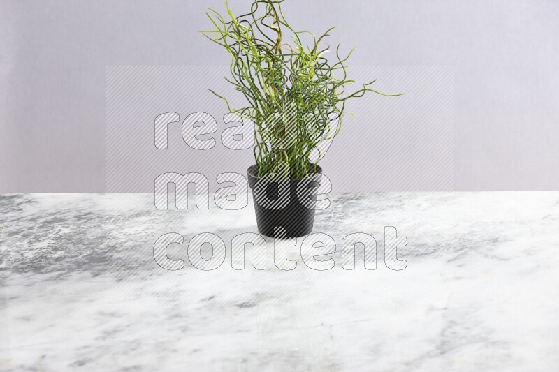 Green artificial plant in black pot on grey marble background