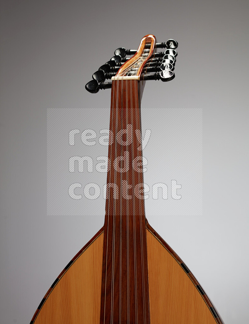 parts of a brown wooden Oud in a gray background