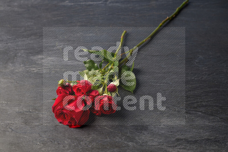 Red roses in different sizes on black marble background