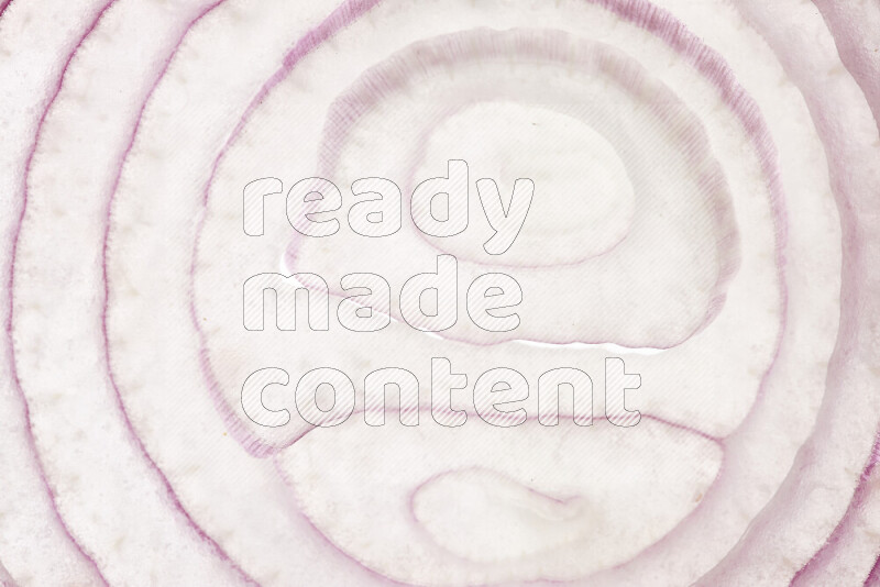 Onion slices on illuminated white background