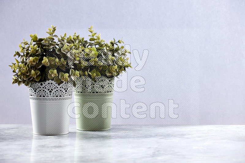 Two Artificial Plants in decorative pots on Light Grey Marble Flooring 15 degree angle