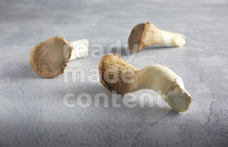 45 degre king oysters mushrooms on a textured light blue  background