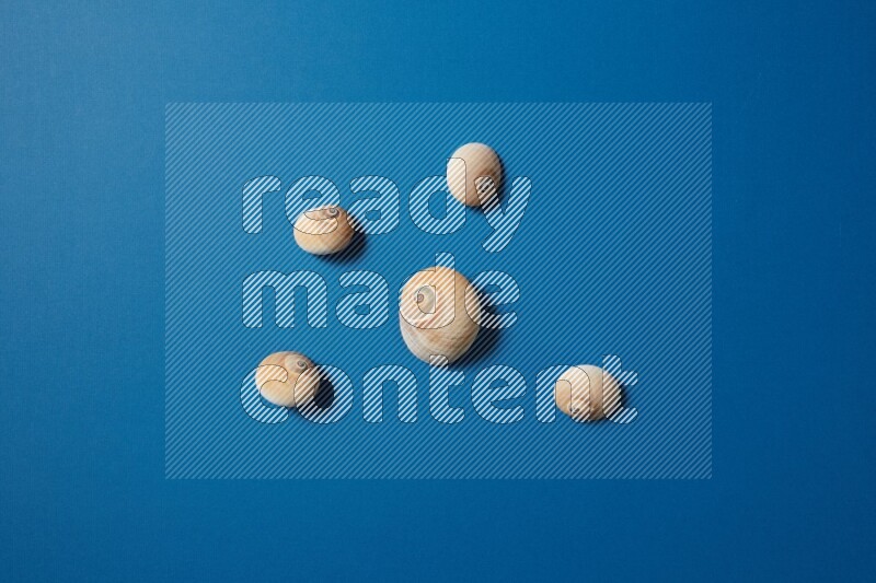 top view shot of seashells arrangement on blue background