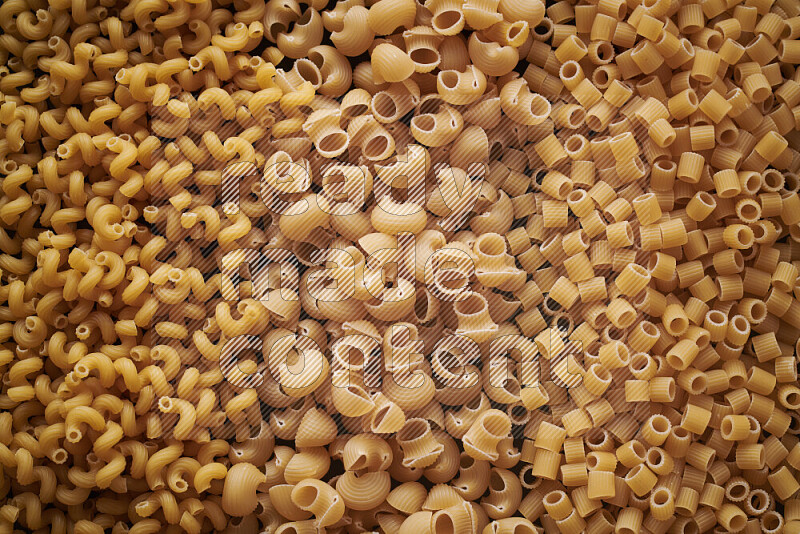 3 types of pasta filling the frame