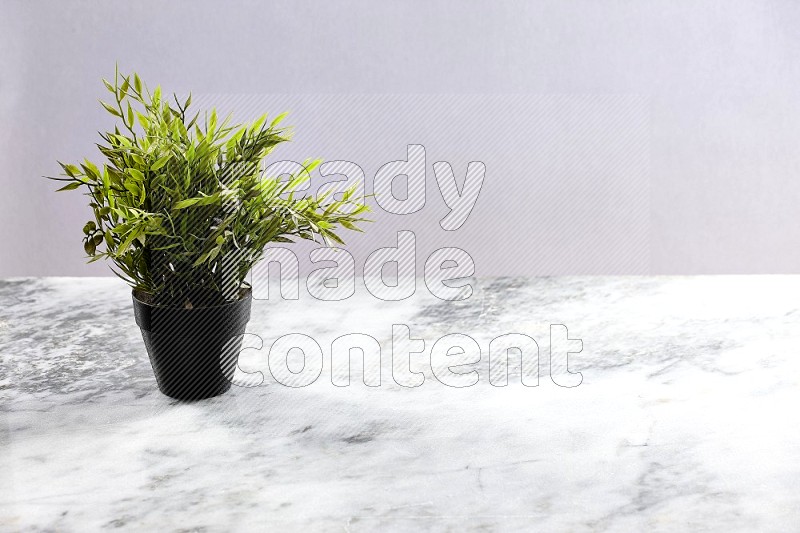 Artificial Plant in black pot on Light Grey Marble Background 45 degree angle