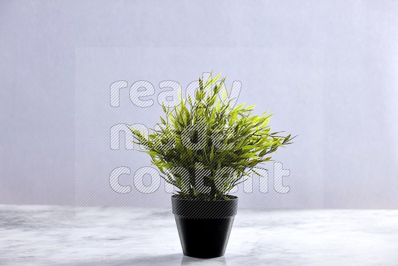 Artificial Plant in black pot on Light Grey Marble Flooring 15 degree angle