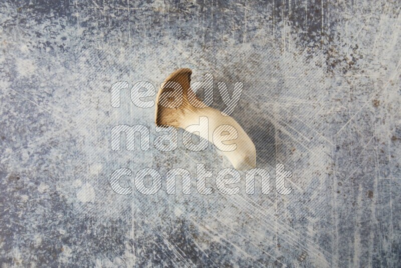 Fresh King oysters mushrooms topview  on a blue textured background