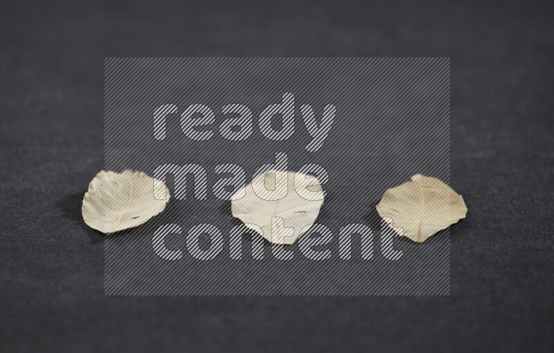 أوراق الغار المجففة علي خلفية سوداء