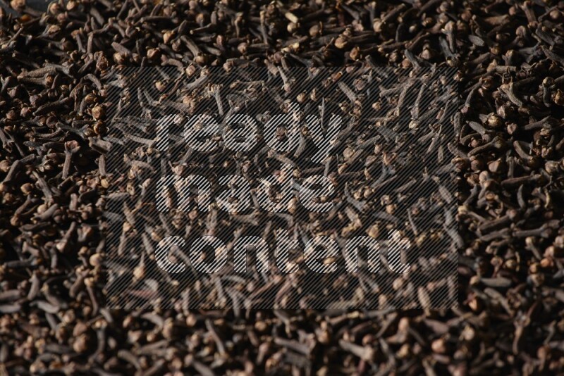 Cloves spread on black flooring