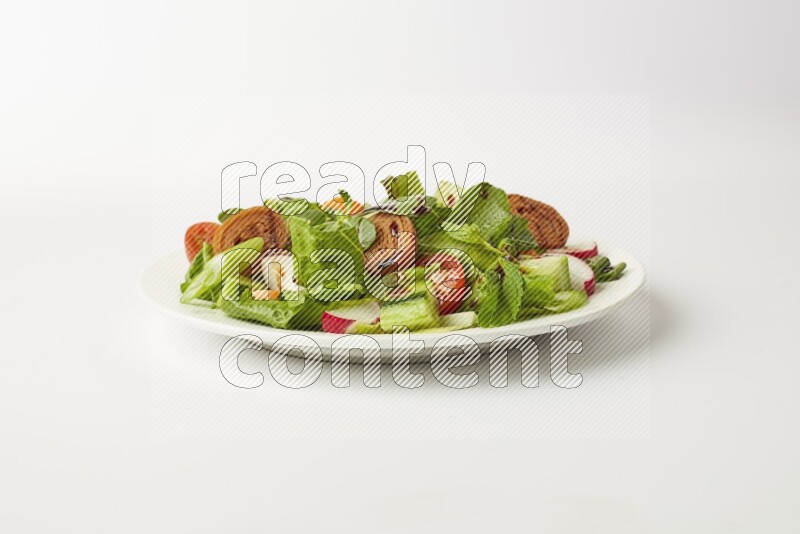 fattoush salad in a white plate direct on a white background