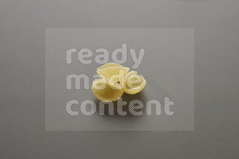 Shells pasta on grey background