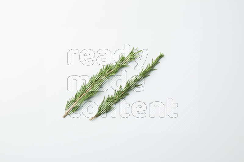 Two fresh rosemary sprigs on white background