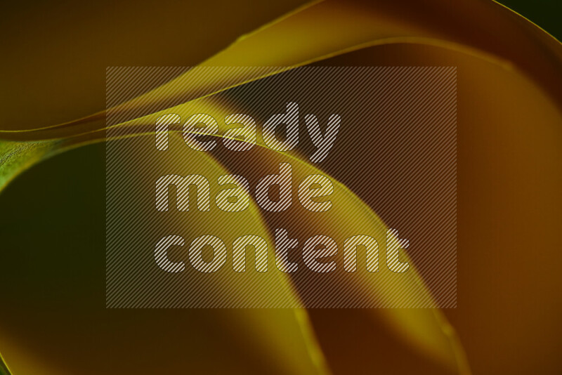 فن تجريدي يعرض منحنيات وتدرجات اللون الأخضر والبرتقالي مكونه بضوء ملون