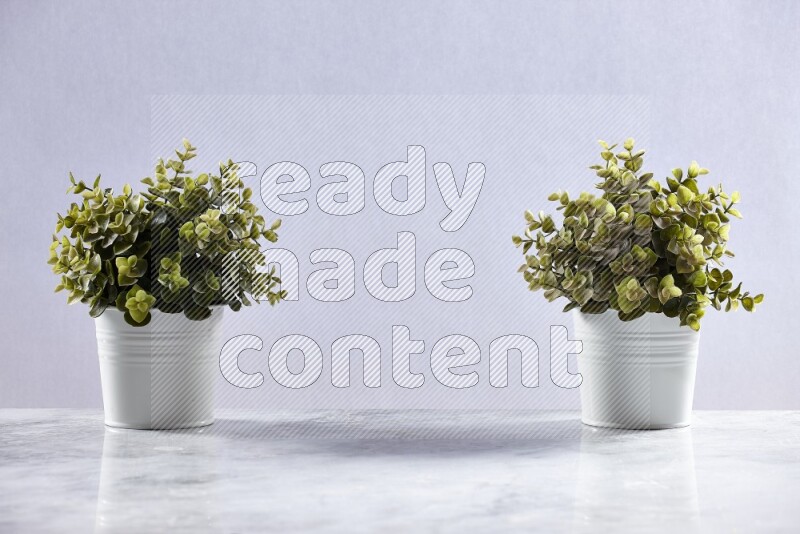Two green artificial plants in white pot on grey marble background