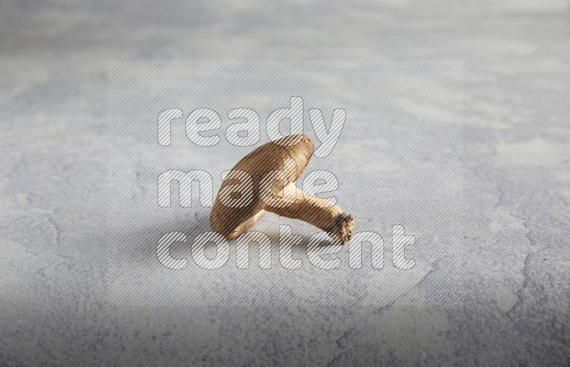 45 degre shiitake mushrooms on a textured light blue  background