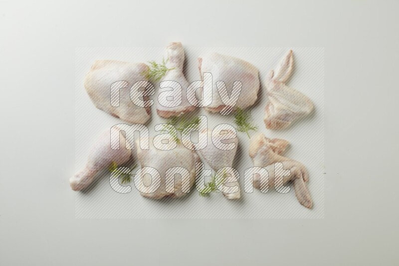 Mixed fresh chicken pieces direct on a white background