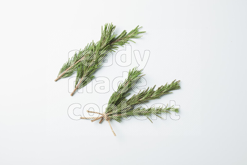 Multi fresh rosemary sprigs on white background