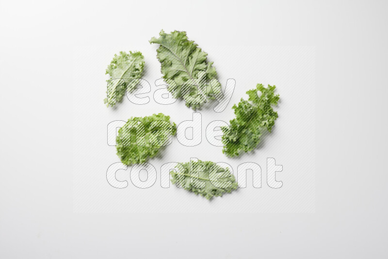 An array of kale leaves spread out on a white background