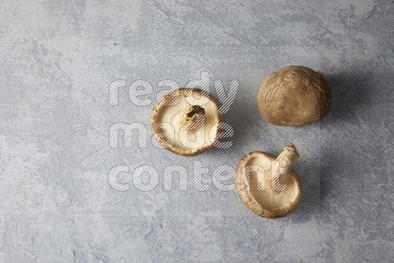 fresh shiitake Mushrooms topview on a light blue textured background