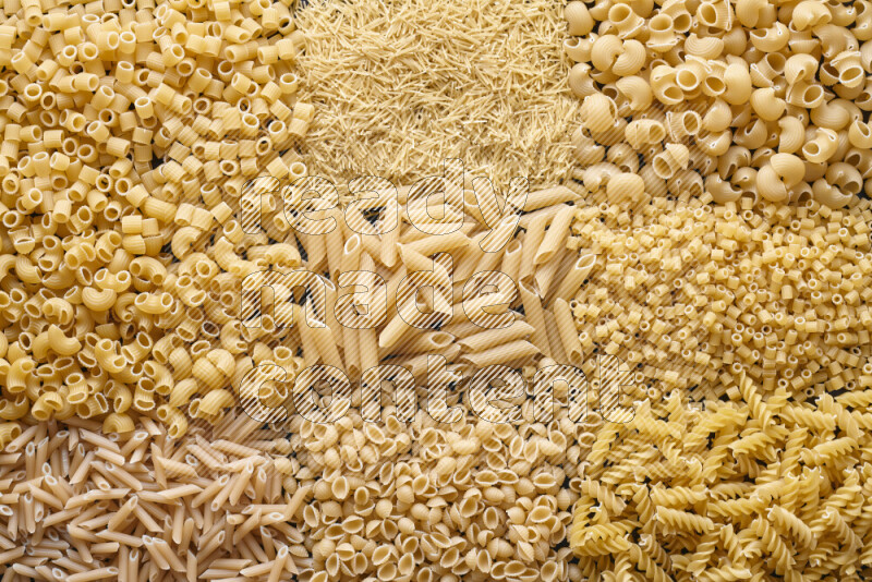 9 types of pasta filling the frame