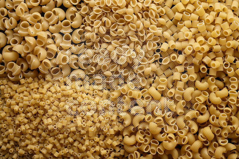 5 types of pasta filling the frame