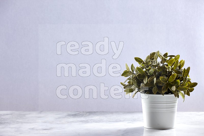 Artificial Plant in White pot on Light Grey Marble Flooring 15 degree angle