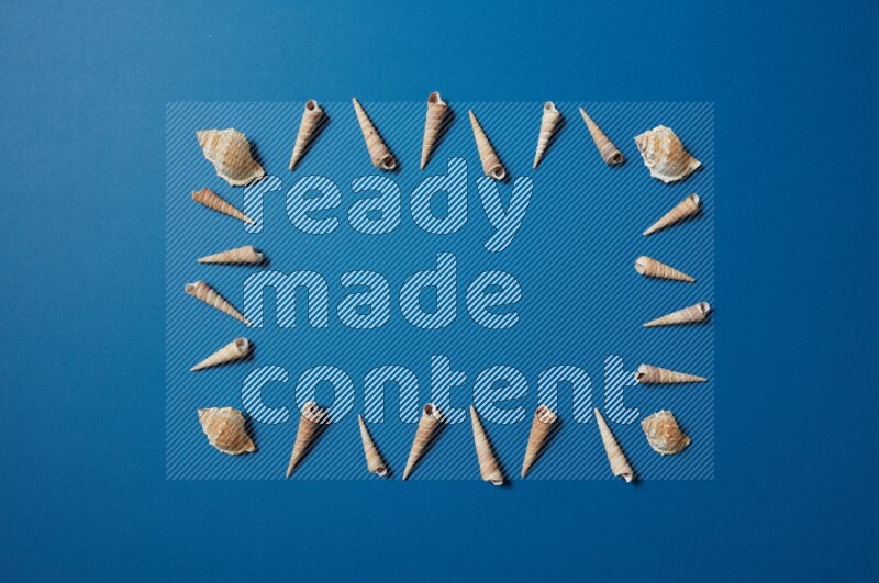top view shot of seashells arrangement on blue background