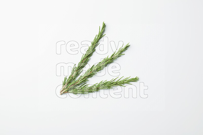 Three fresh rosemary sprigs on white background