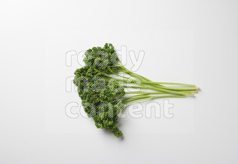 A bunch of fresh curly lettuce sprigs on a white background