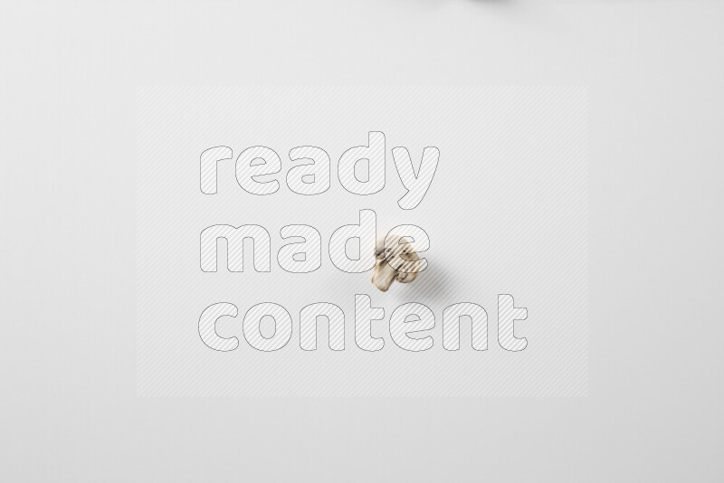 مشروم علي خلفية بيضاء