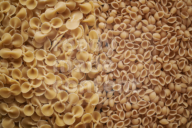 2 types of pasta filling the frame