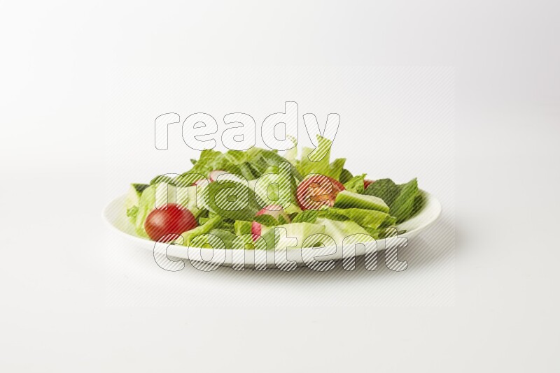 fattoush salad in a white plate direct on a white background