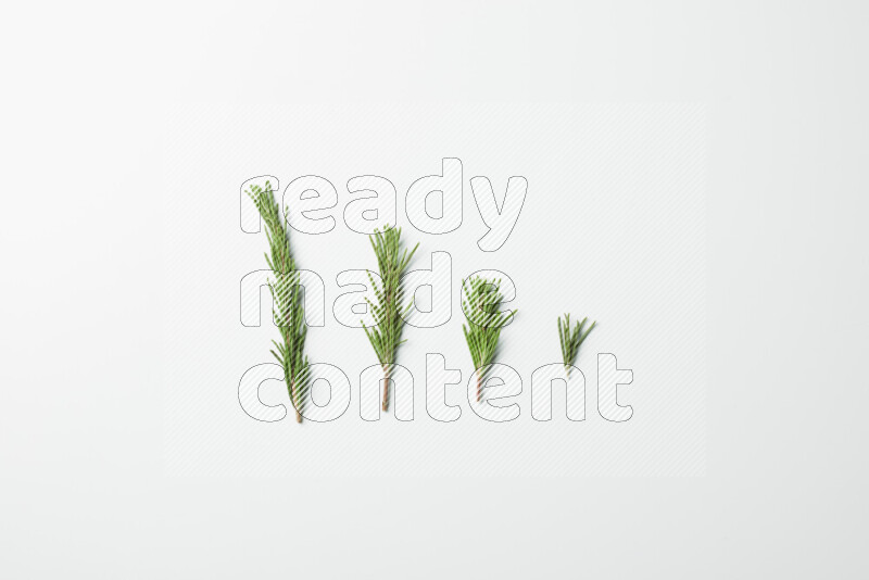 Multi fresh rosemary sprigs on white background