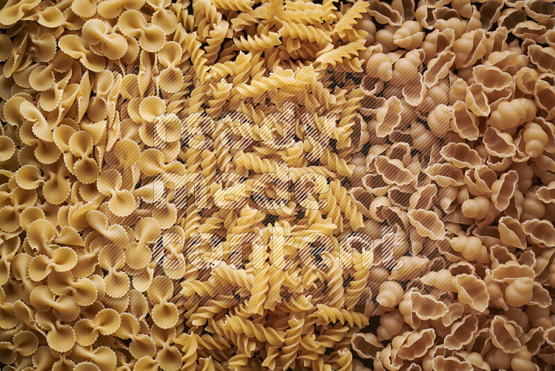 3 types of pasta filling the frame