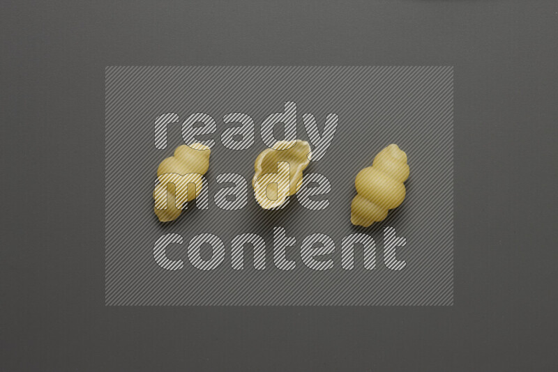 Snails pasta on grey background