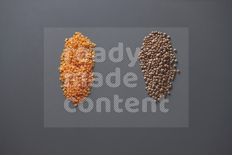 Bunches of legumes on grey background