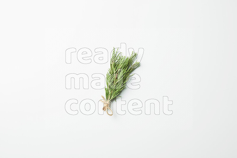 Multi fresh rosemary sprigs on white background