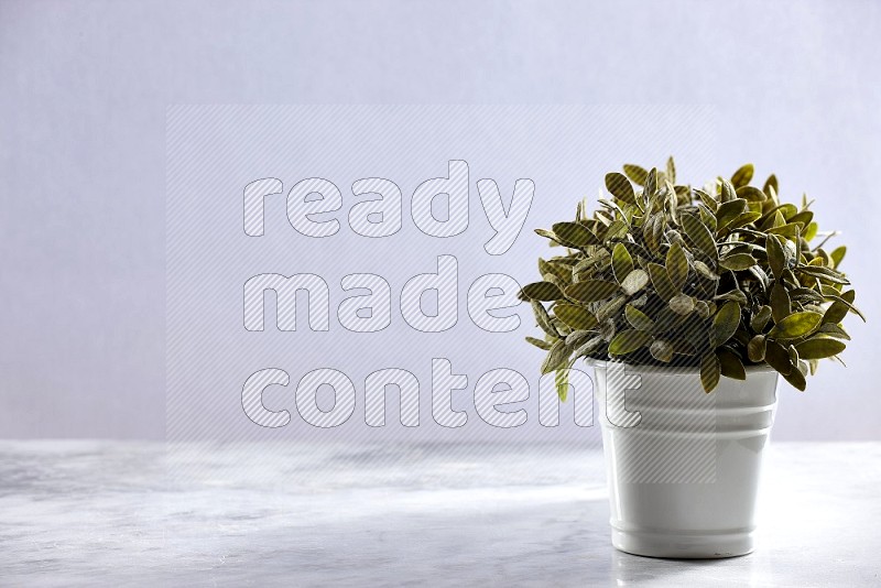 Multiable Artificial Plants in White Pot on Light Grey Marble Flooring 15 degree angle