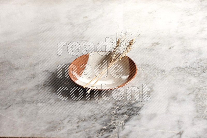 Wheat stalks on Multicolored Pottery Plate on grey marble flooring, 45 degree angle