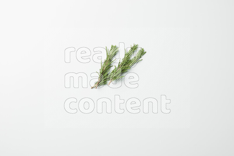 Three fresh rosemary sprigs on white background