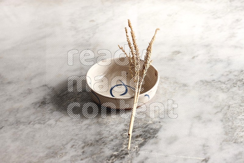 Wheat stalks on Multicolored Pottery Bowl on grey marble flooring, 45 degree angle