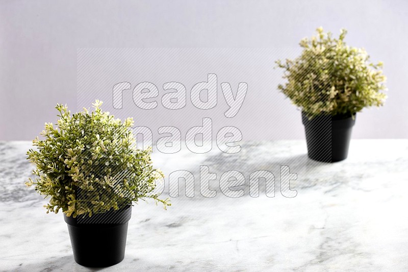 Two Thyme Artificial Plants in black pot on Light Grey Marble Background 45 degree angle