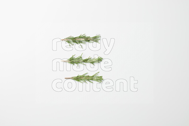 Three fresh rosemary sprigs on white background