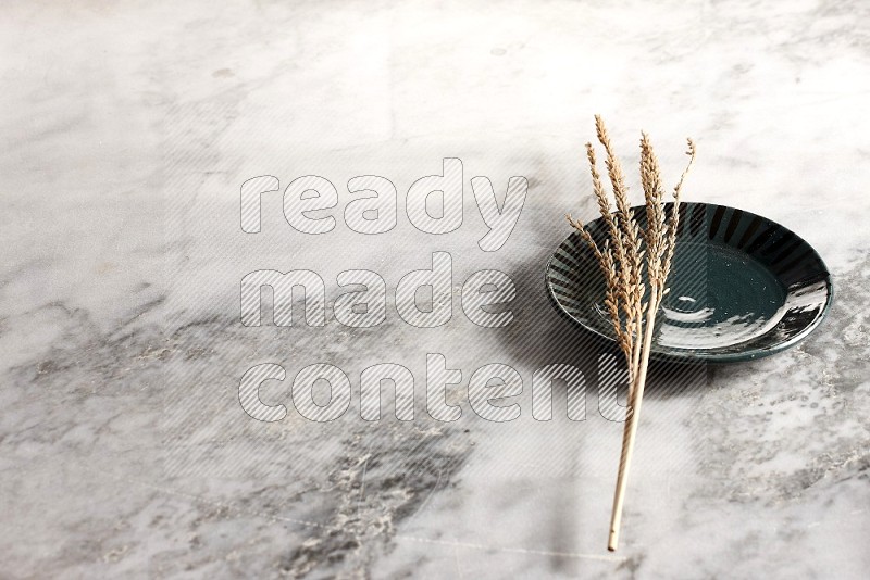 Wheat stalks on Multicolored Pottery Plate on grey marble flooring, 45 degree angle