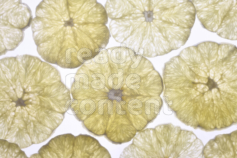 Orange slices on illuminated white background