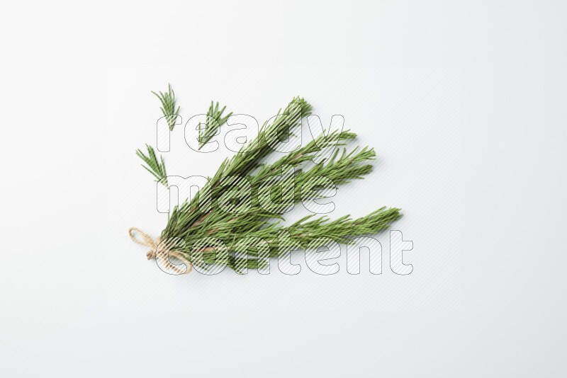 Multi fresh rosemary sprigs on white background